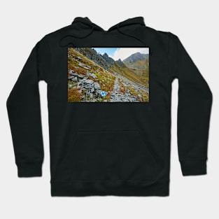 Hiking trail in the mountains Hoodie